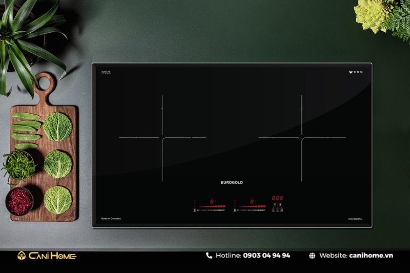 Bếp từ 2 vùng nấu cảm ứng điện từ EUH8989Pro-1